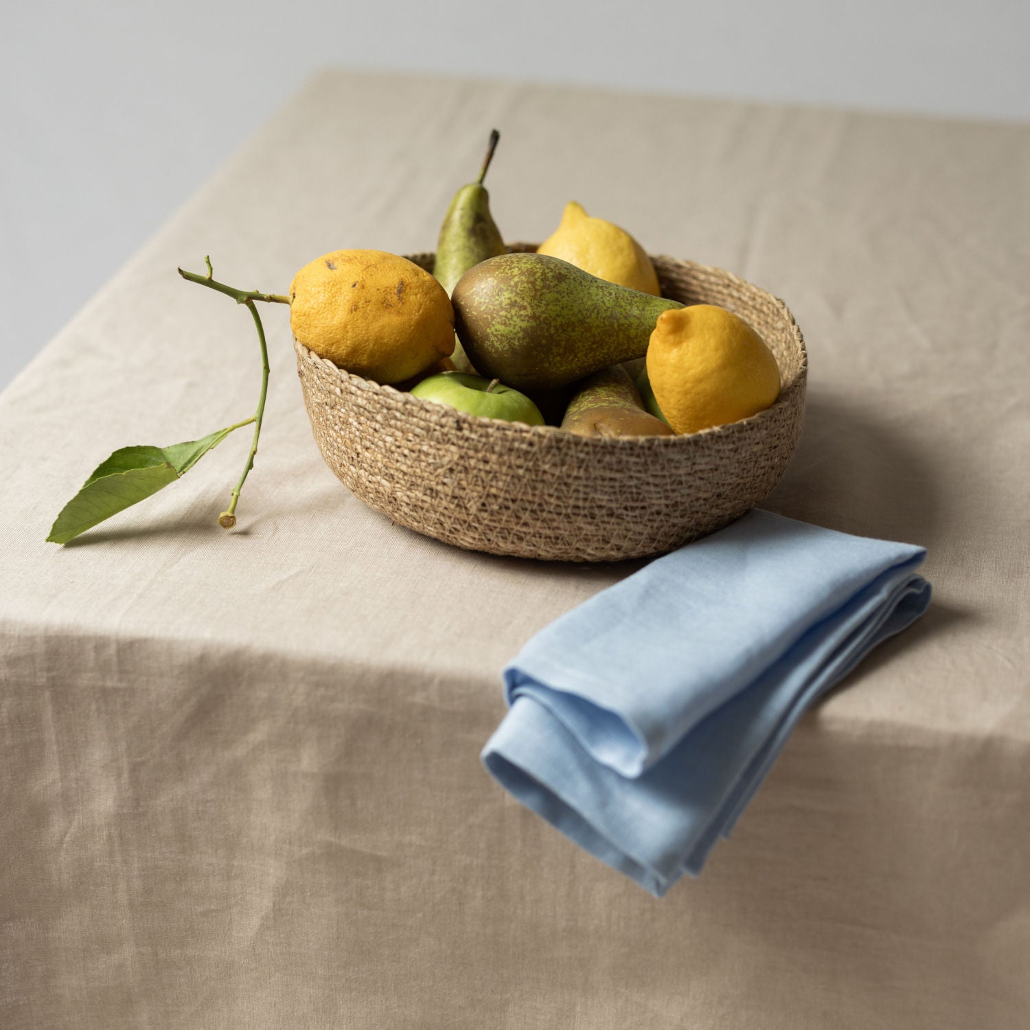 Blue Napkins (Set of 2)