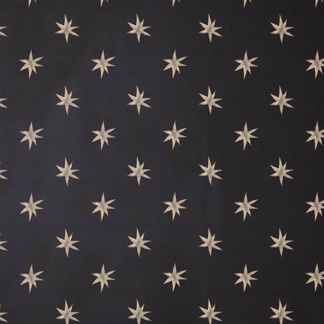 Ink Star Large Black Wallpaper