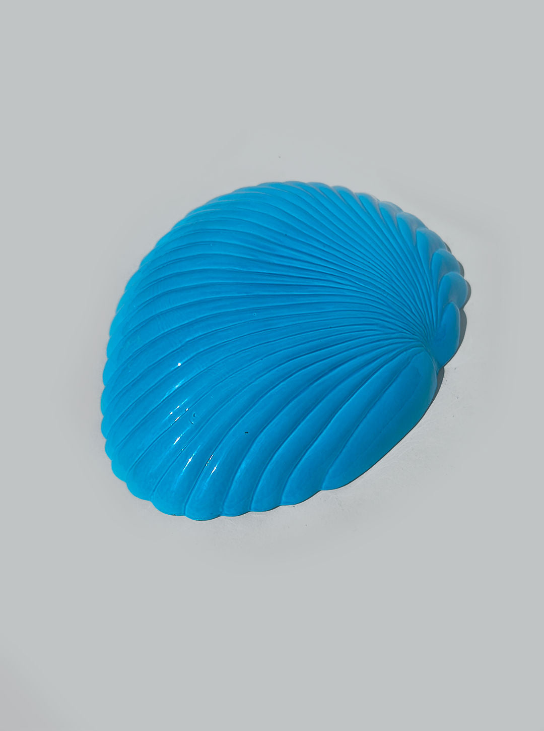 Opaline Shell Vide Poche