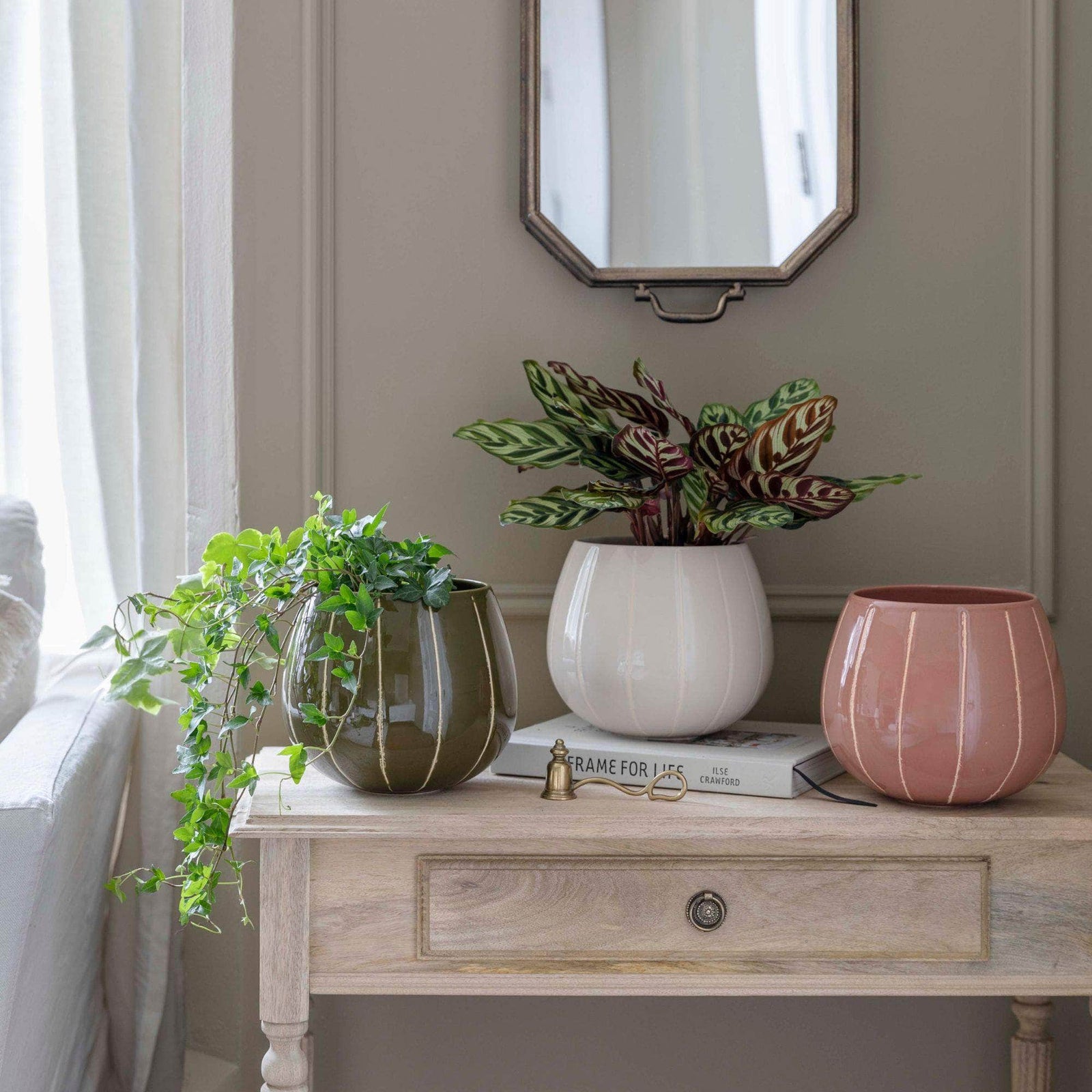 Nova Wax Relief Cream Planter