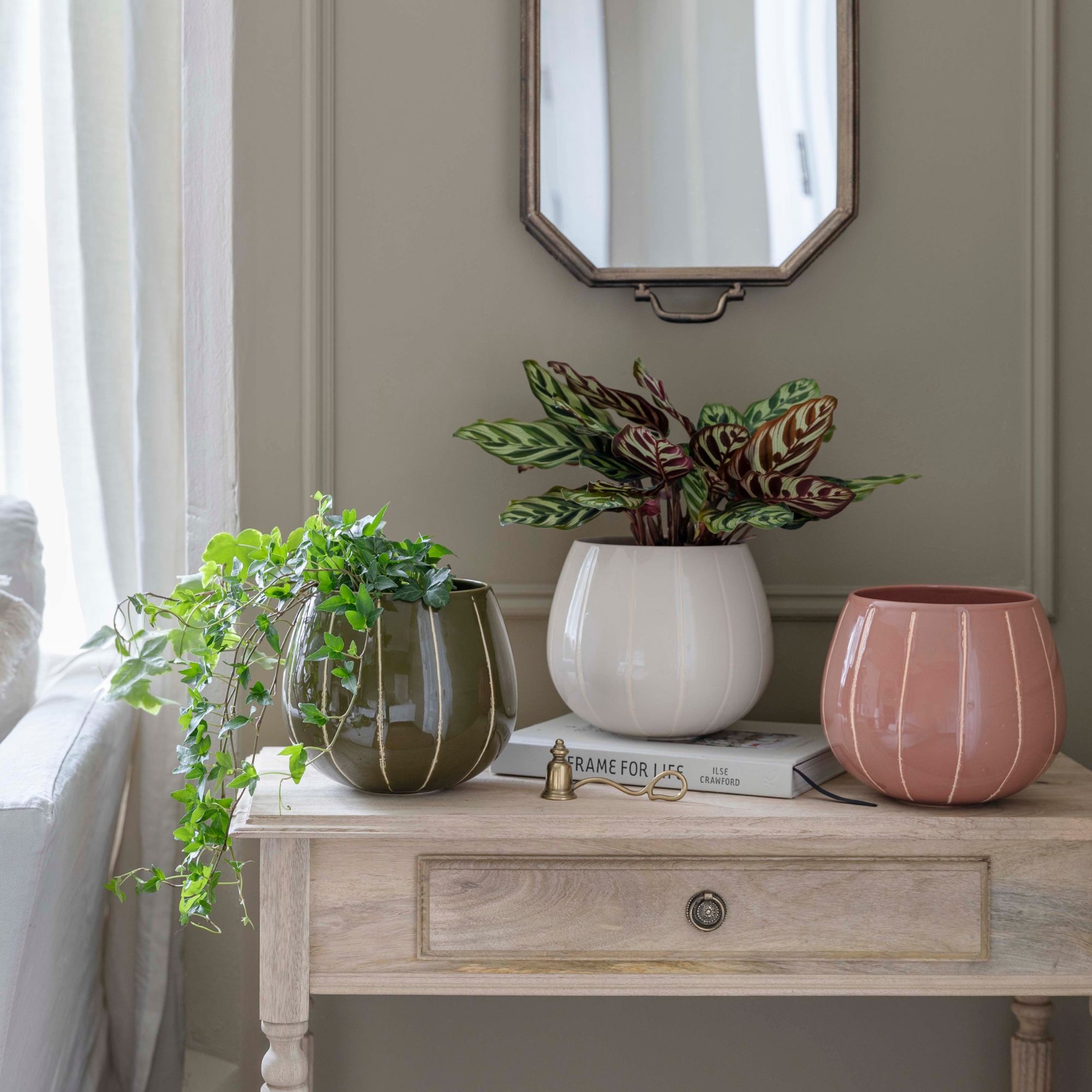 Nova Wax Relief Cream Planter