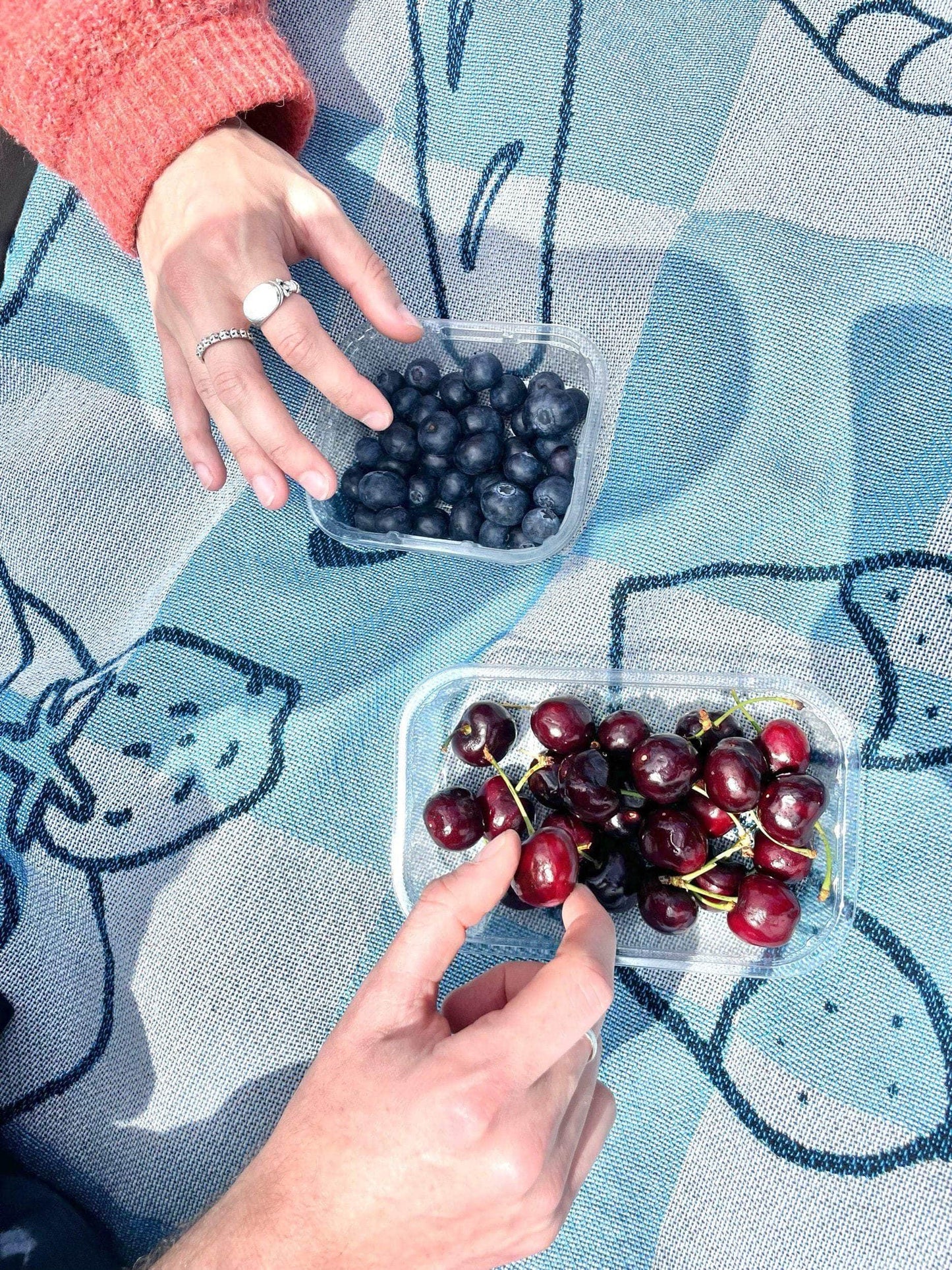 Picnic Blanket Blue