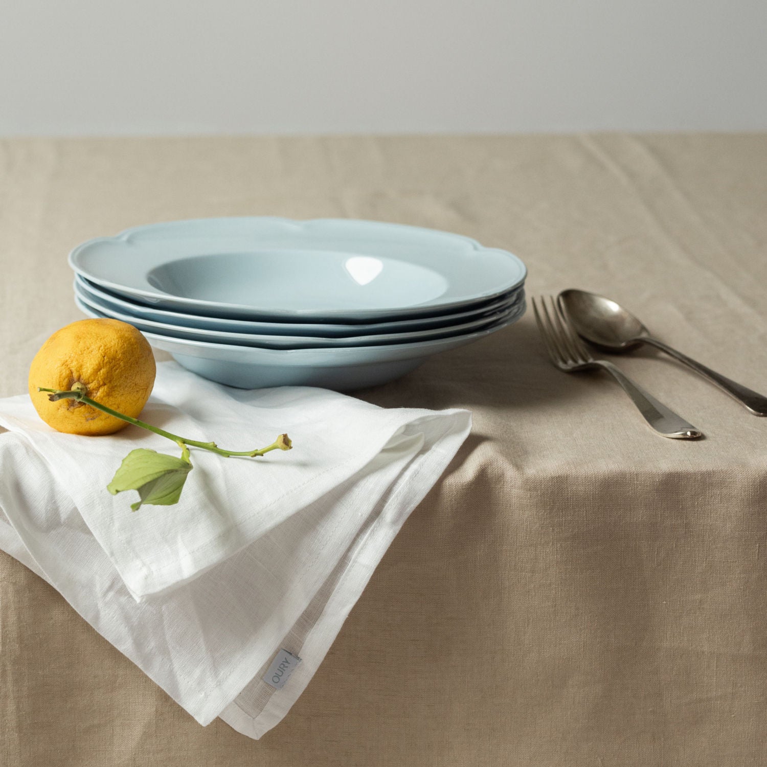 White Napkins (Set of 2)