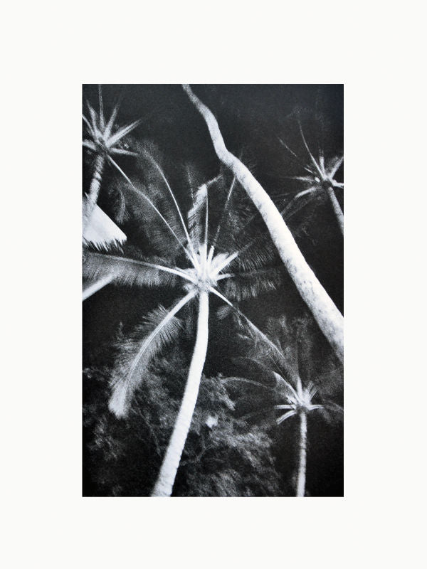 Cahiers d'Art Revue No. 1 2012: Ellsworth Kelly Book