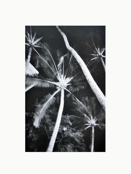 Cahiers d'Art Revue No. 1 2012: Ellsworth Kelly Book