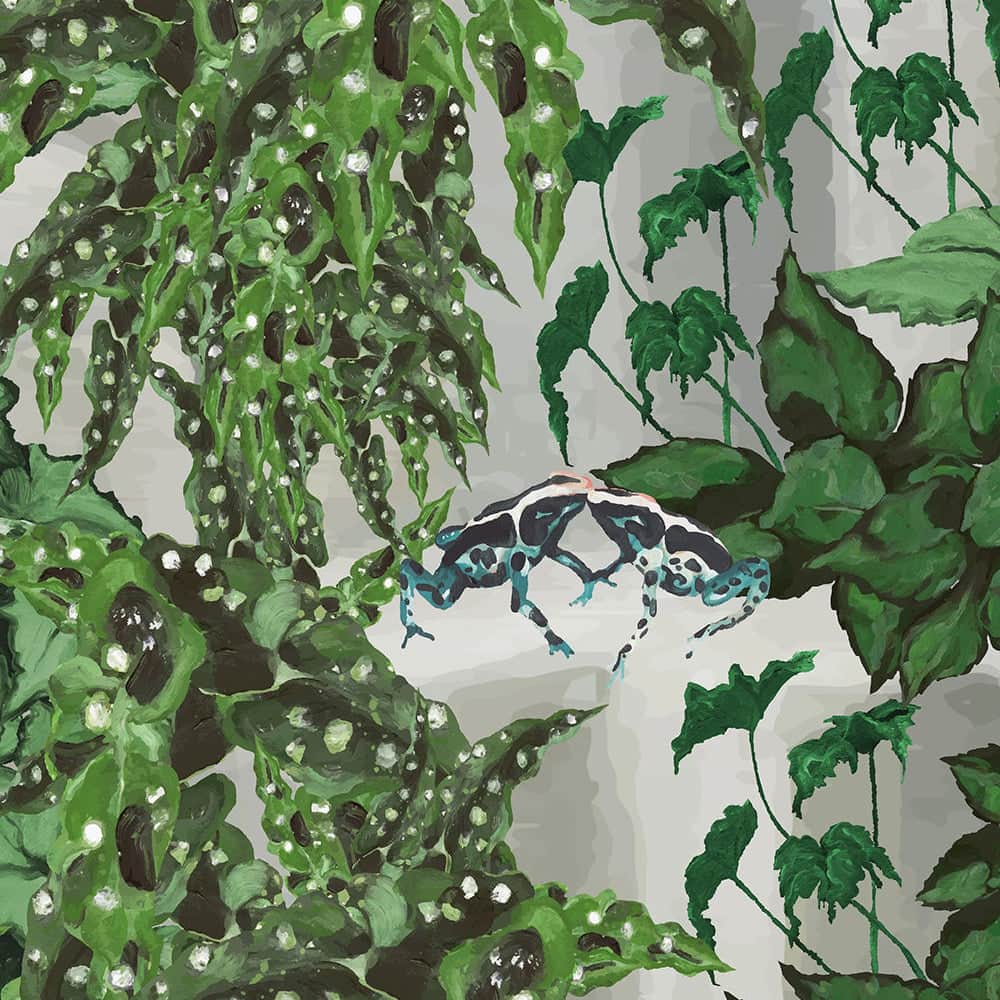 Frog Snog Wallpaper