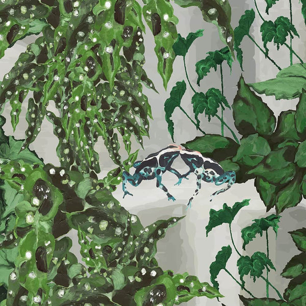 Frog Snog Wallpaper