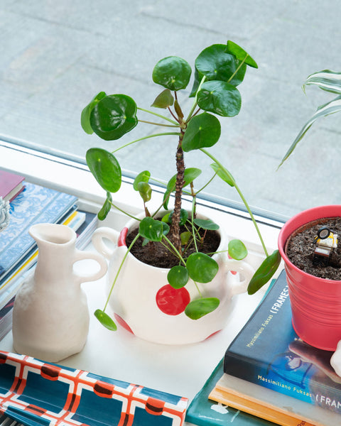 Chunky Planter