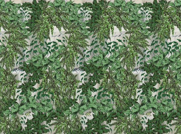 Frog Snog Wallpaper