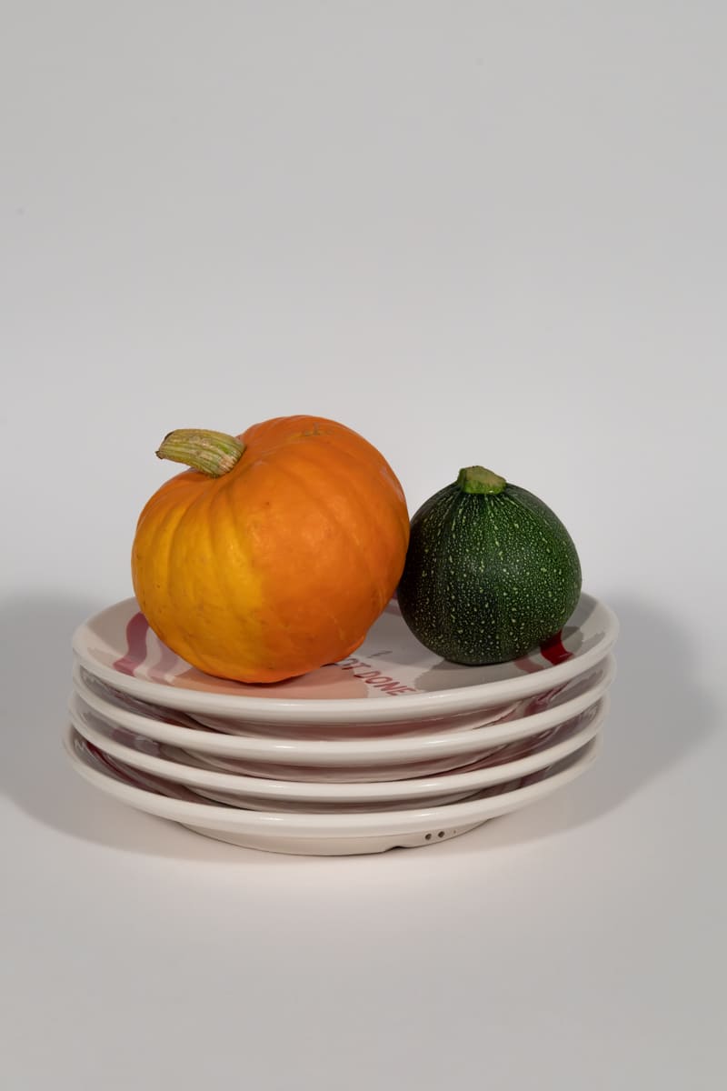 Talk of the Table Dinner Plates - Set of 4