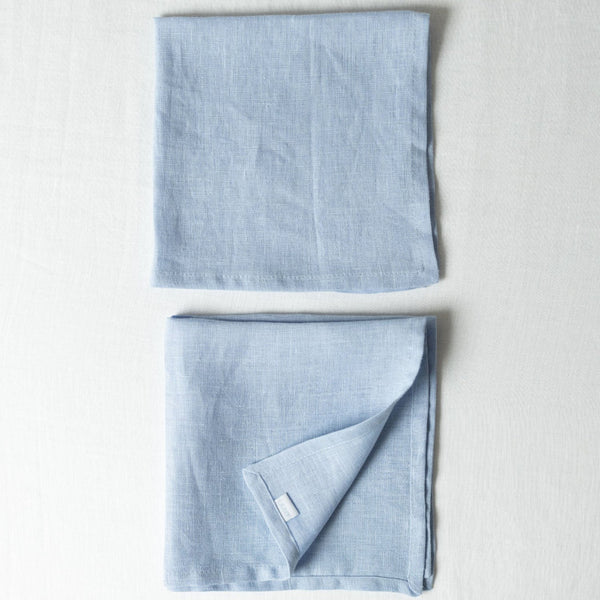 Blue Napkins (Set of 2)