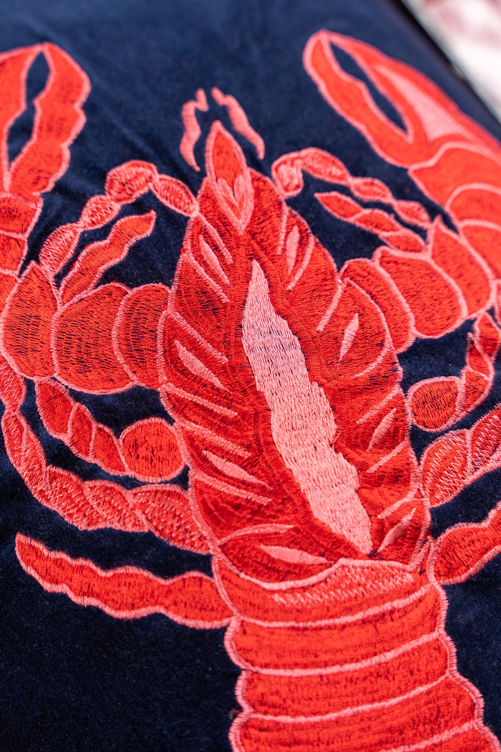 Tropical Hand-Embroidered Cotton Cushion – Lobster