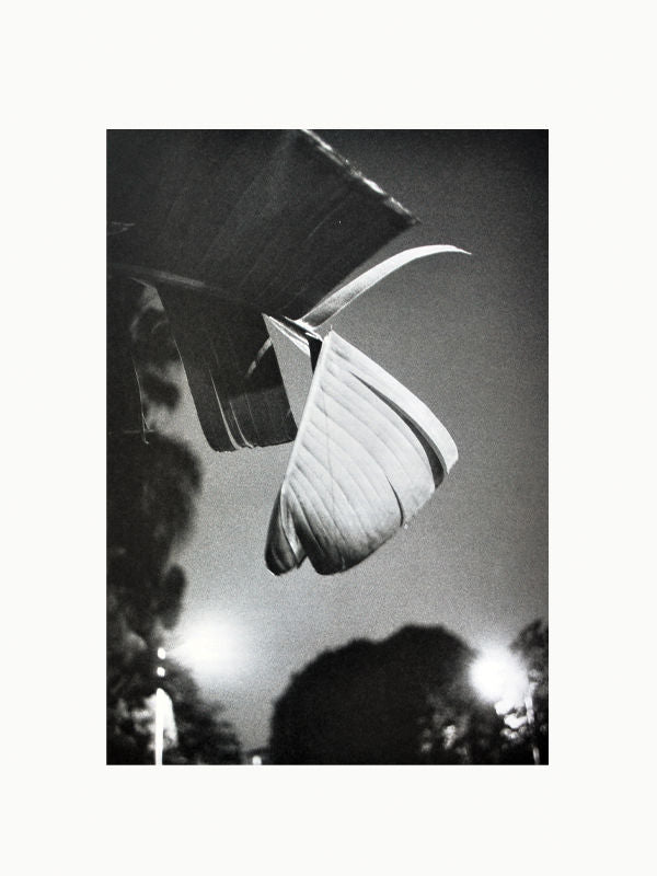 Cahiers d'Art Revue No. 1 2012: Ellsworth Kelly Book