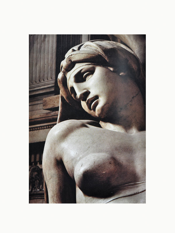 The Hidden Michelangelo Book