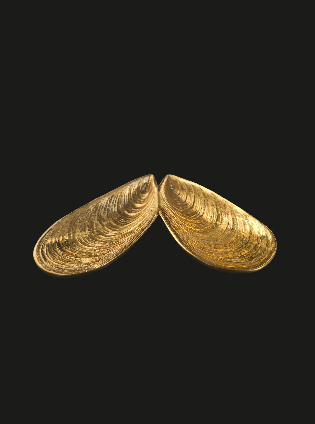 Vintage Brass Shell Vide Poche