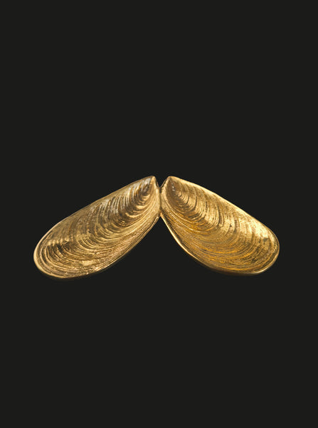Vintage Brass Shell Vide Poche