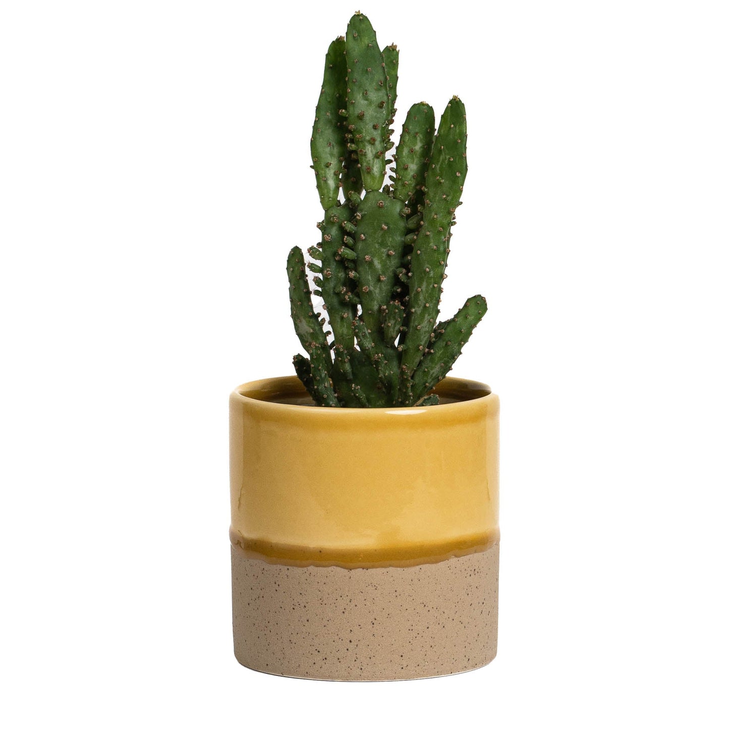 Drip Ceramic Planter Medium - Honey