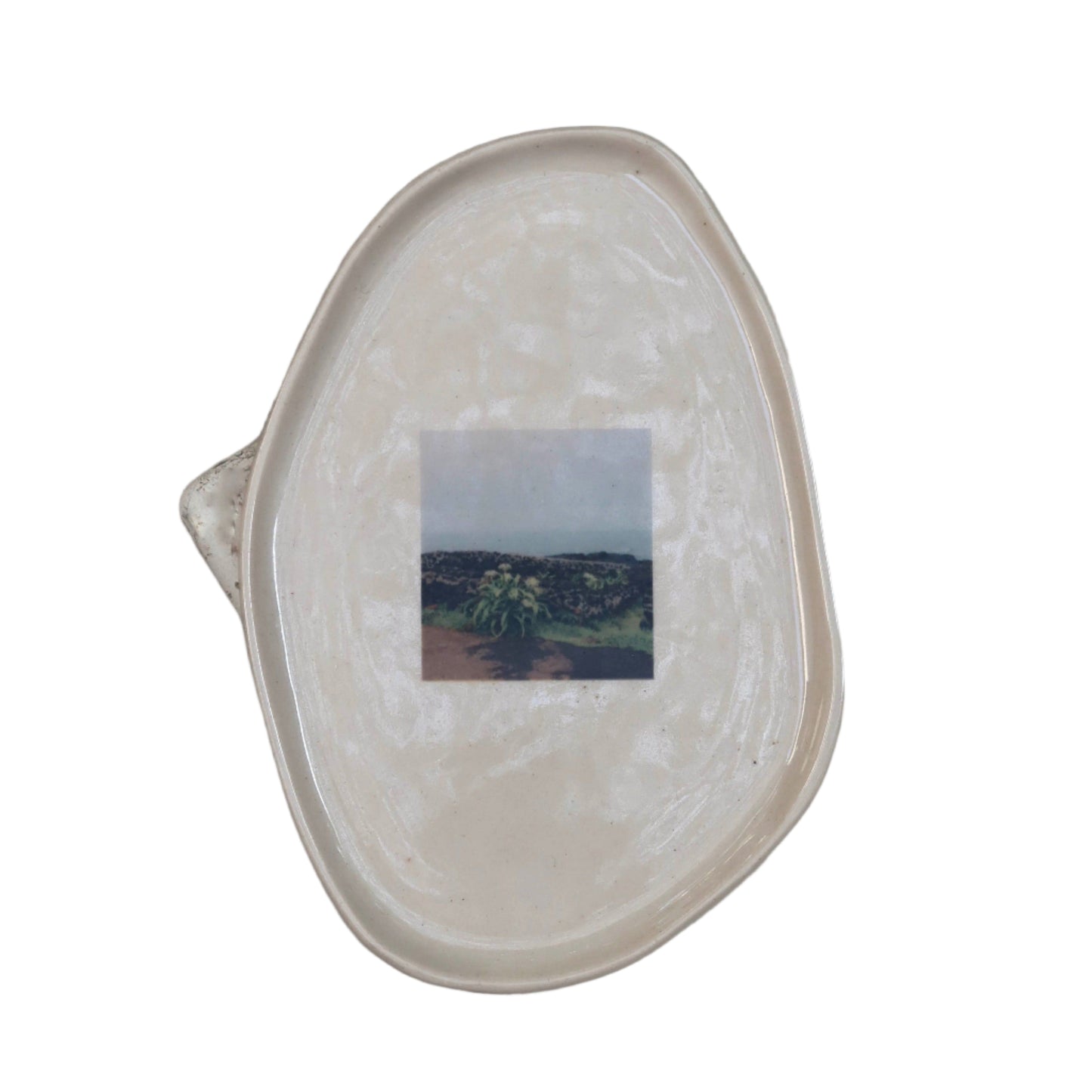 Photo Tray