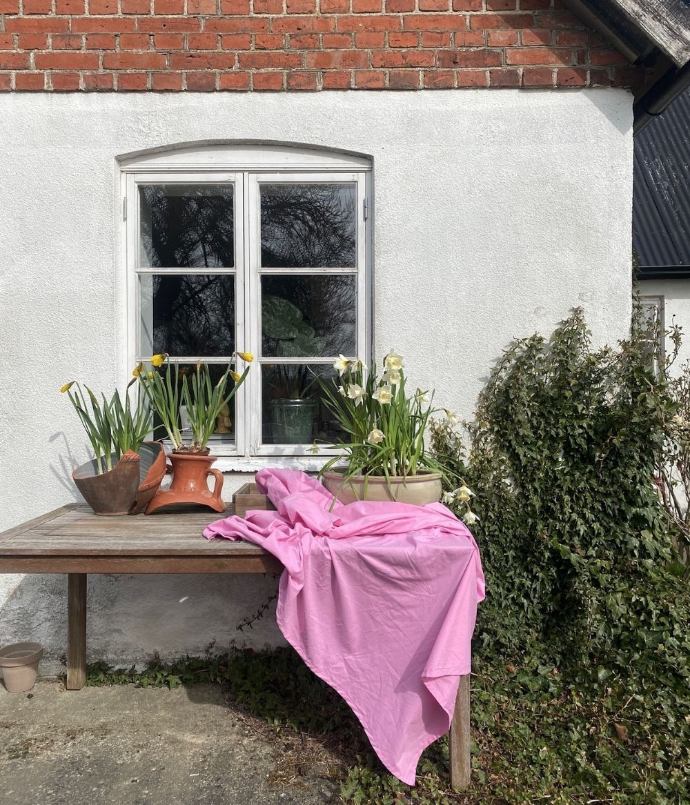 Tablecloth Pink