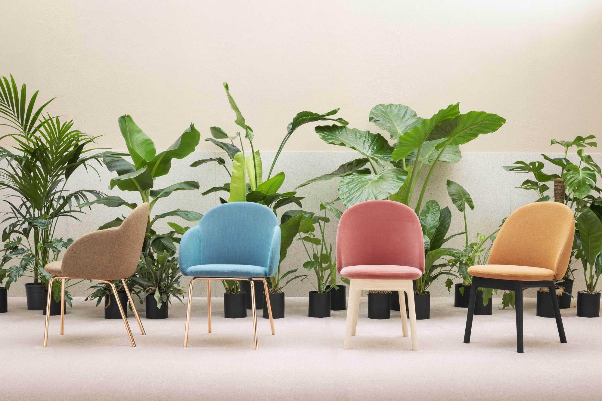 Iola Chair