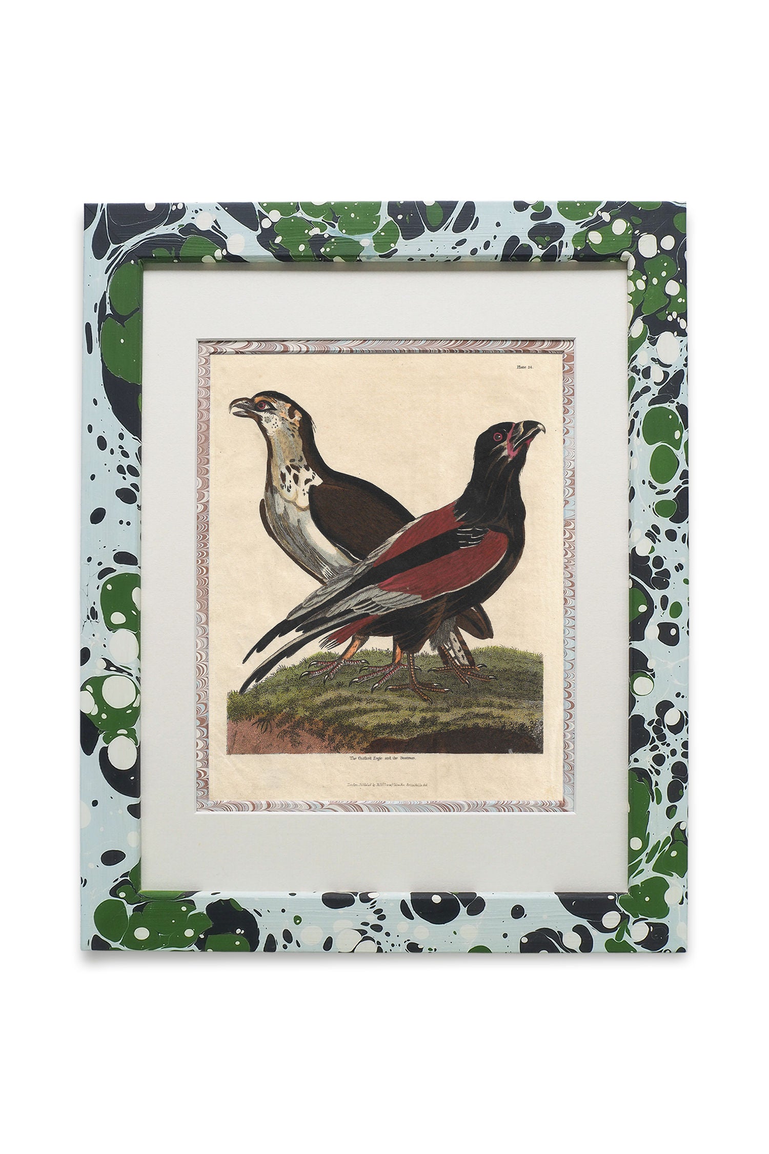 Buffon No.24 Glacier Framed Print