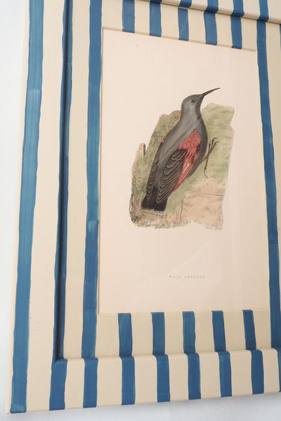 Antique Bird in Hand Painted Frame