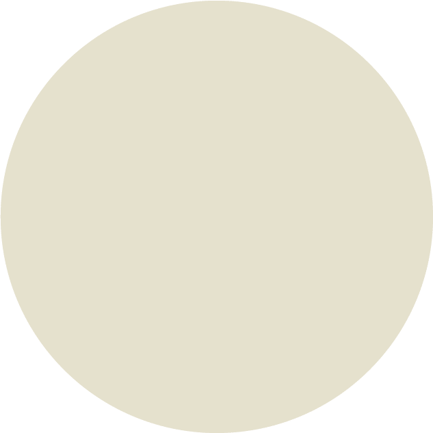 Soft Plate – Vanilla