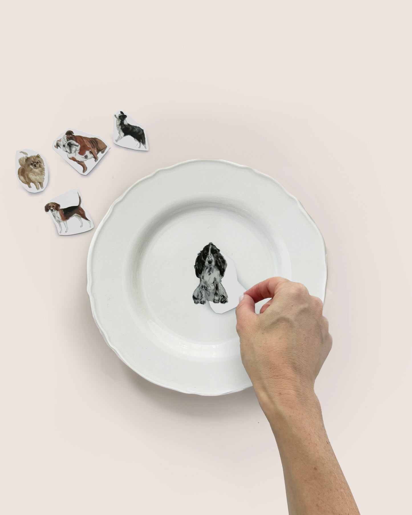 Watercolor Dogs Set DIY Plate Sticker Decoration