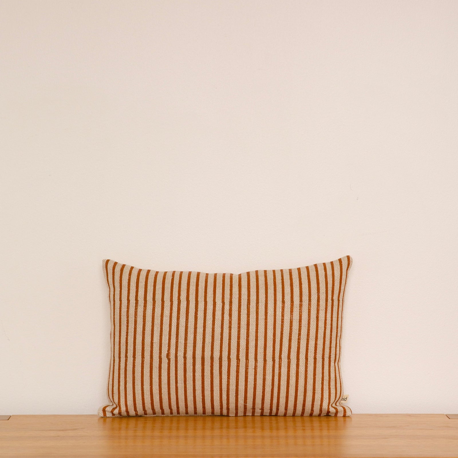 RAYURES Cushion
