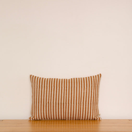 RAYURES Cushion
