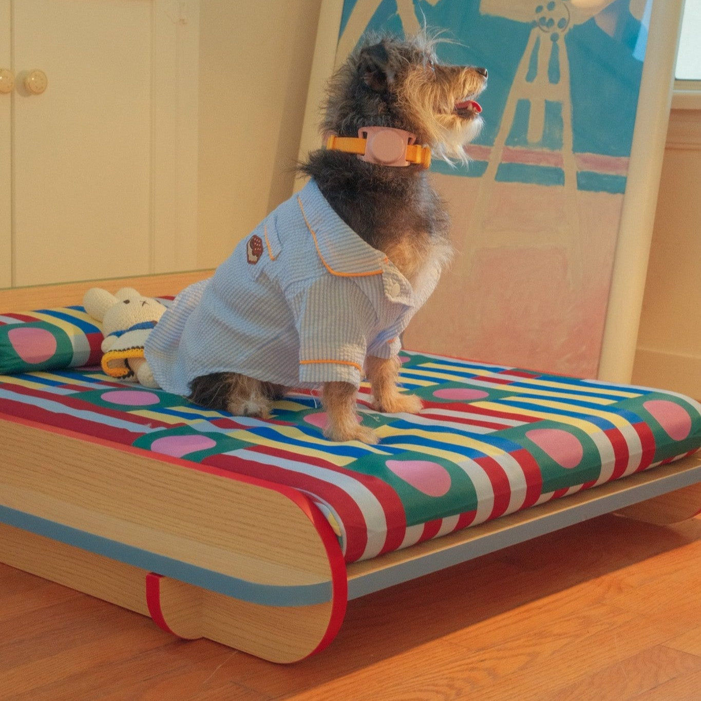 The Leo Bed – Modern Elevated Dog & Cat Bed