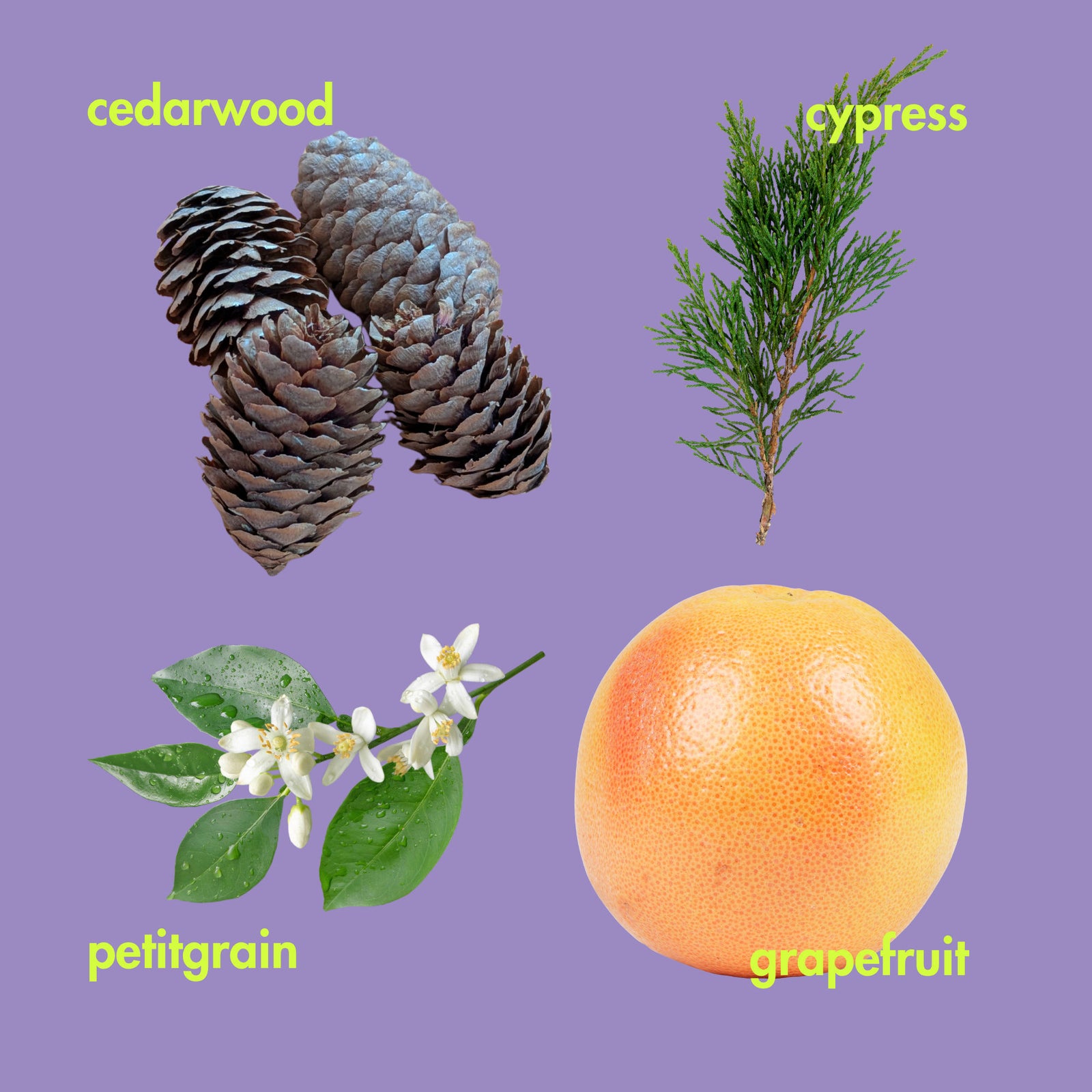 The Entertainers Gift Set