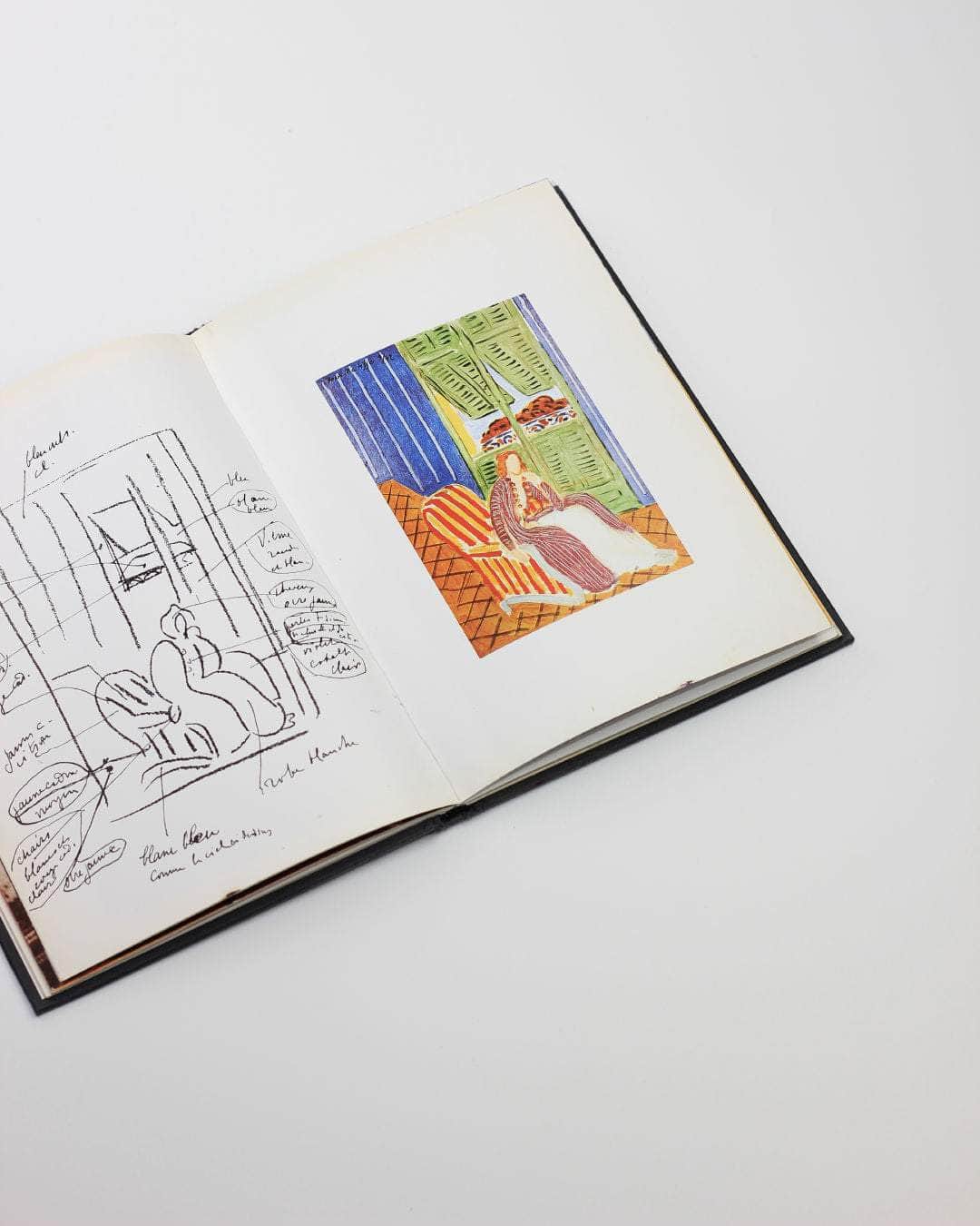 Matisse in Nice Book