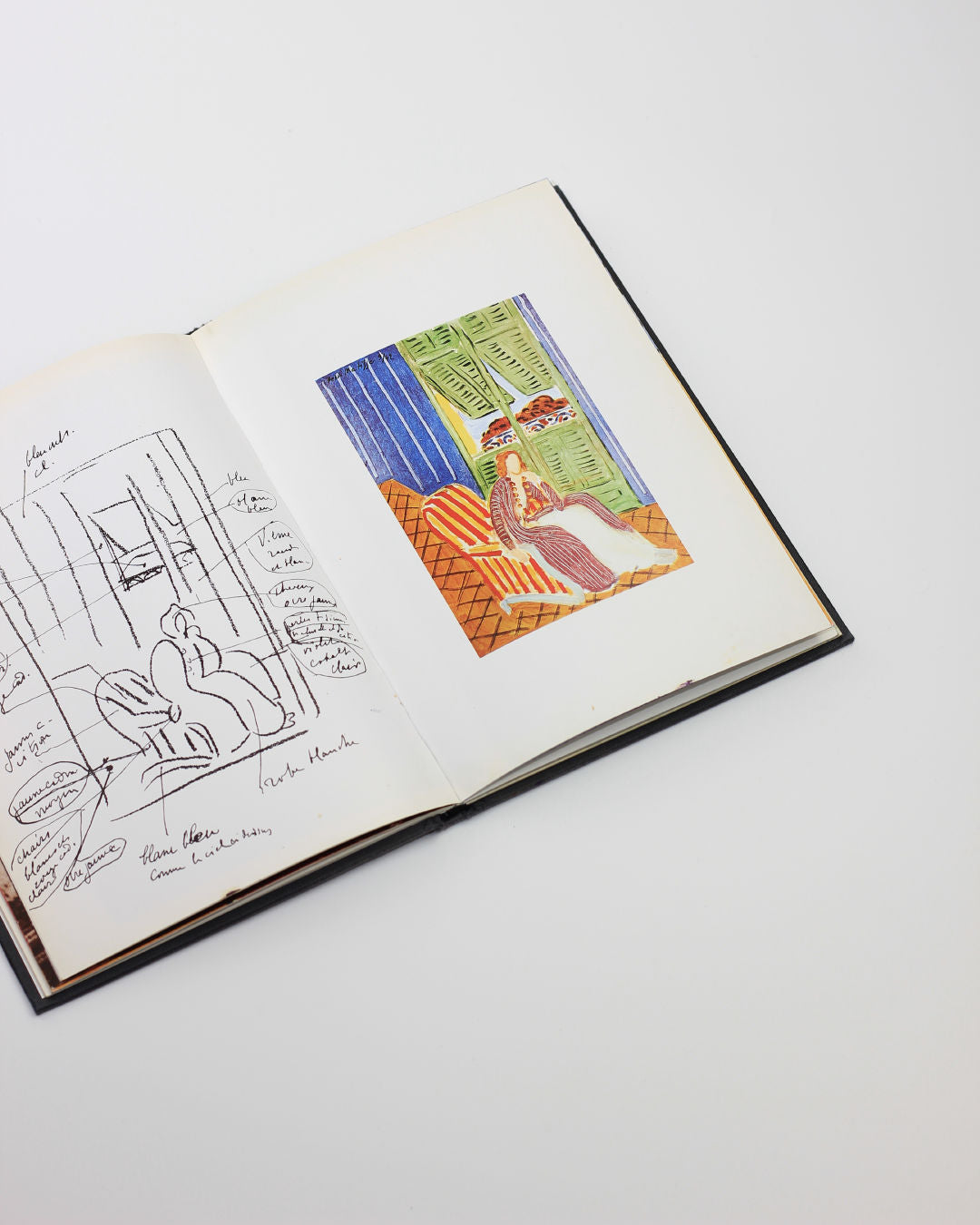 Matisse in Nice Book