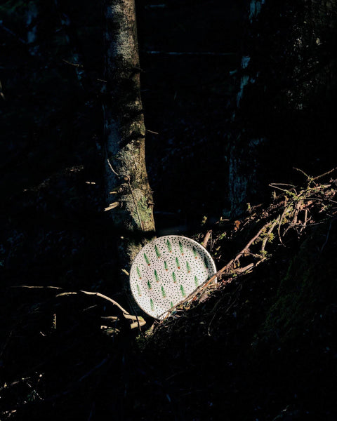 Forest Plate