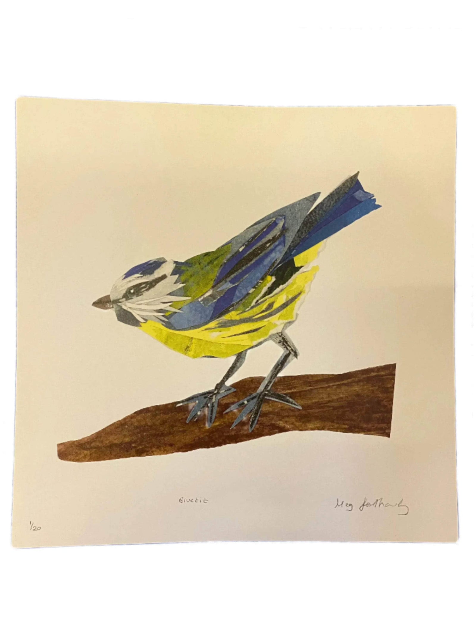 Limited Edition Blue Tit Collage 30cm x 30cm Digital Print