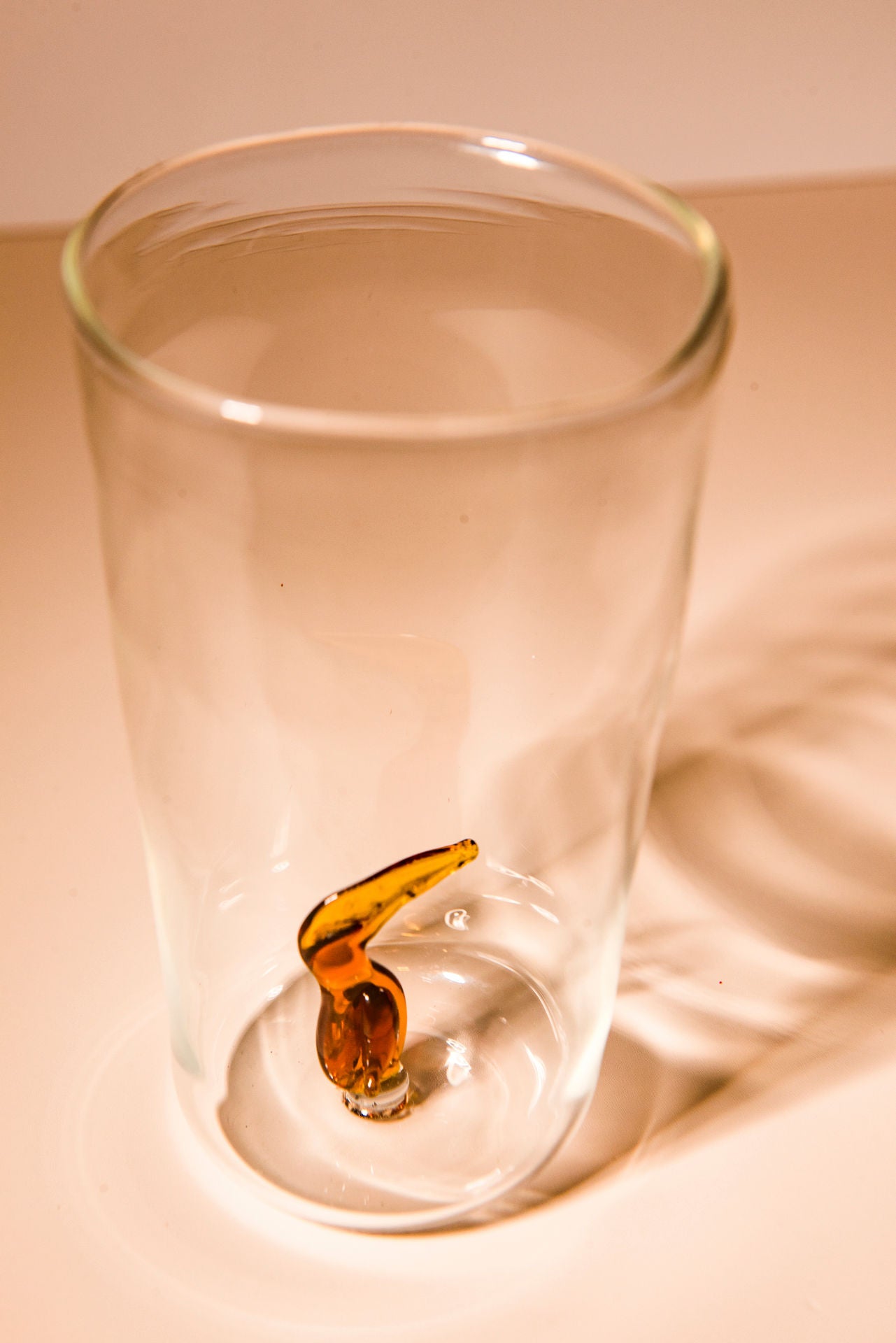 Toucan Glass (Set of 4)