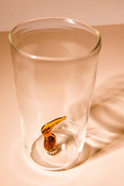 Toucan Glass (Set of 4)