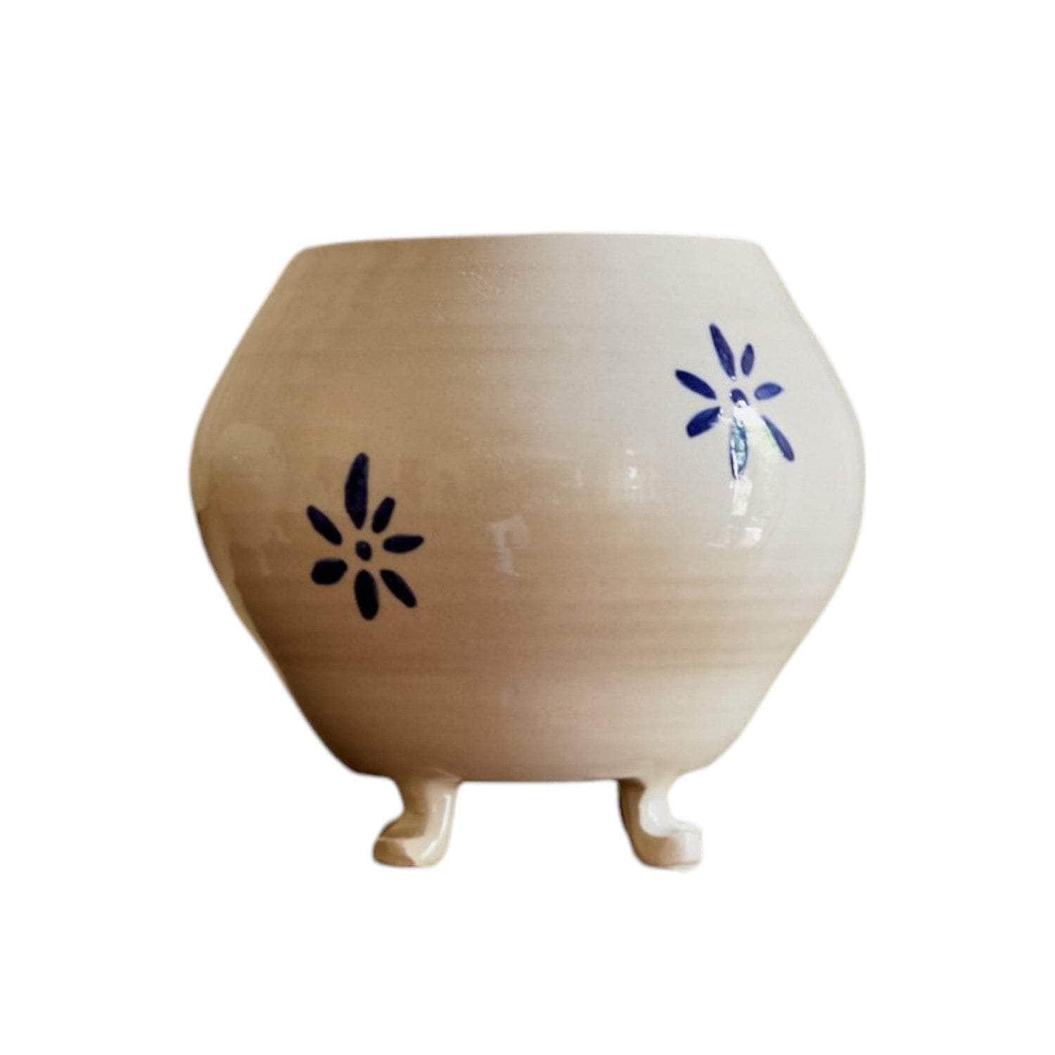 Ceramic Vase Flowers