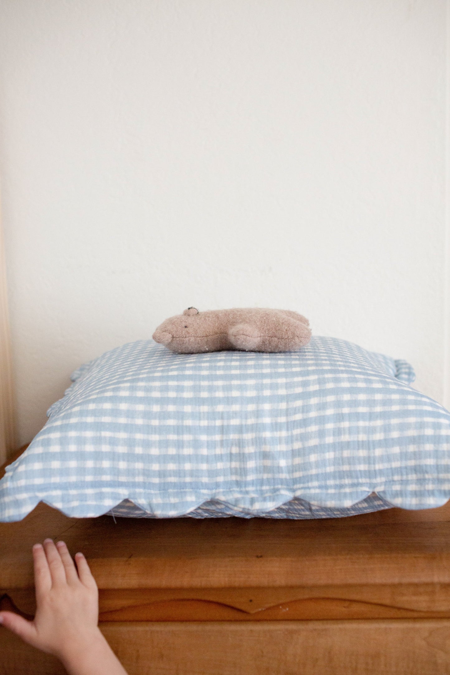 Soft Petal Cushion Covers (Set of 2) – Cottage