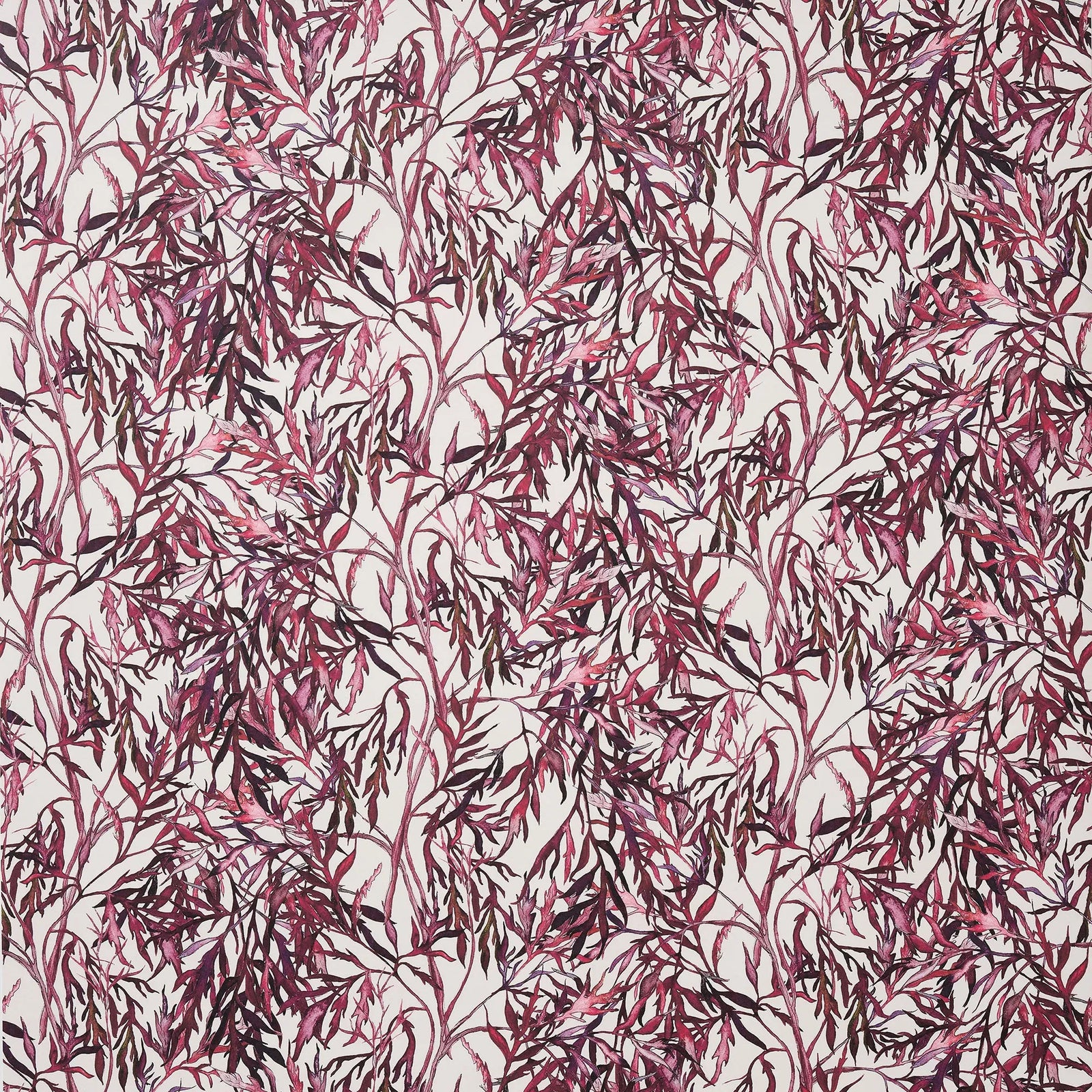 Elderflower Wallpaper