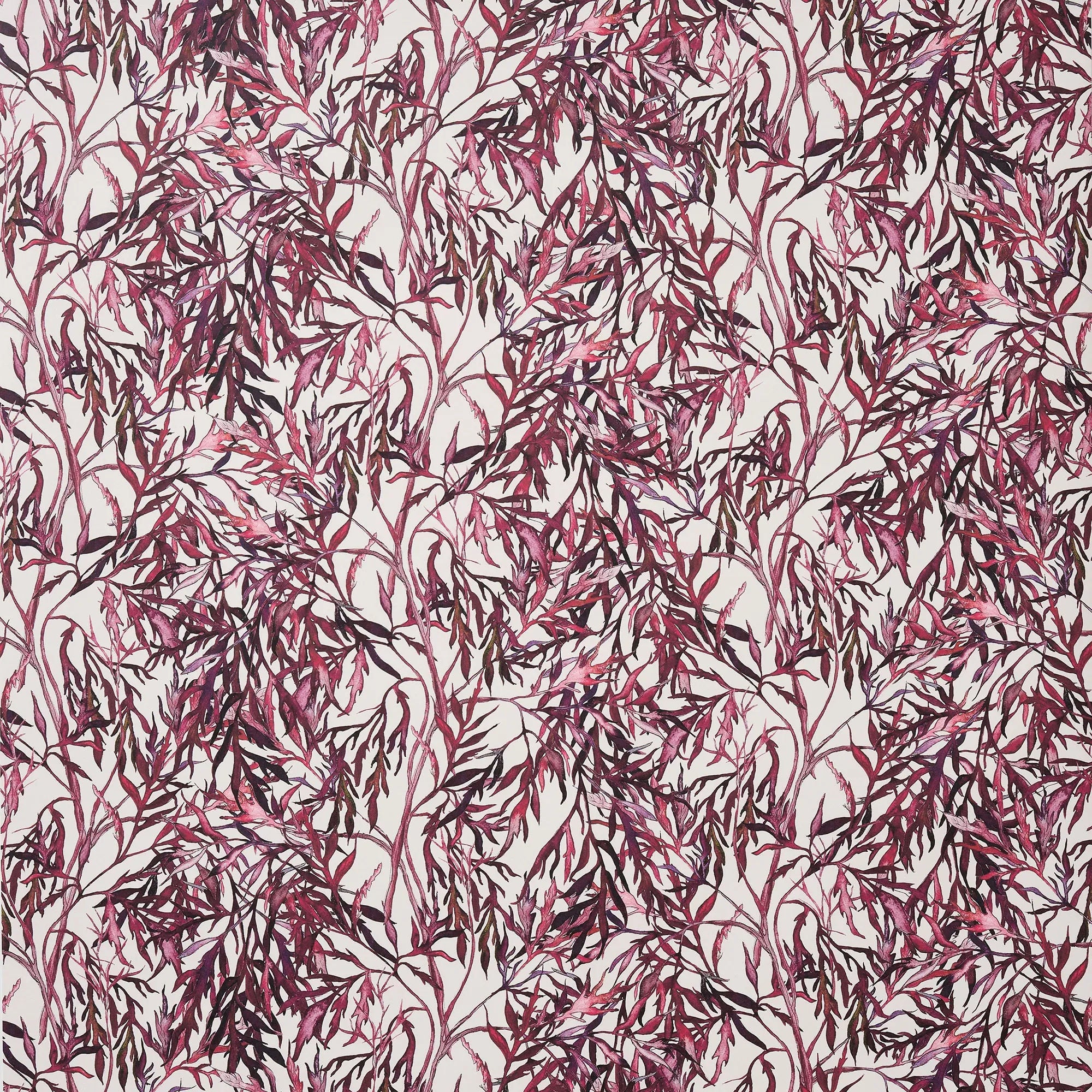 Elderflower Wallpaper