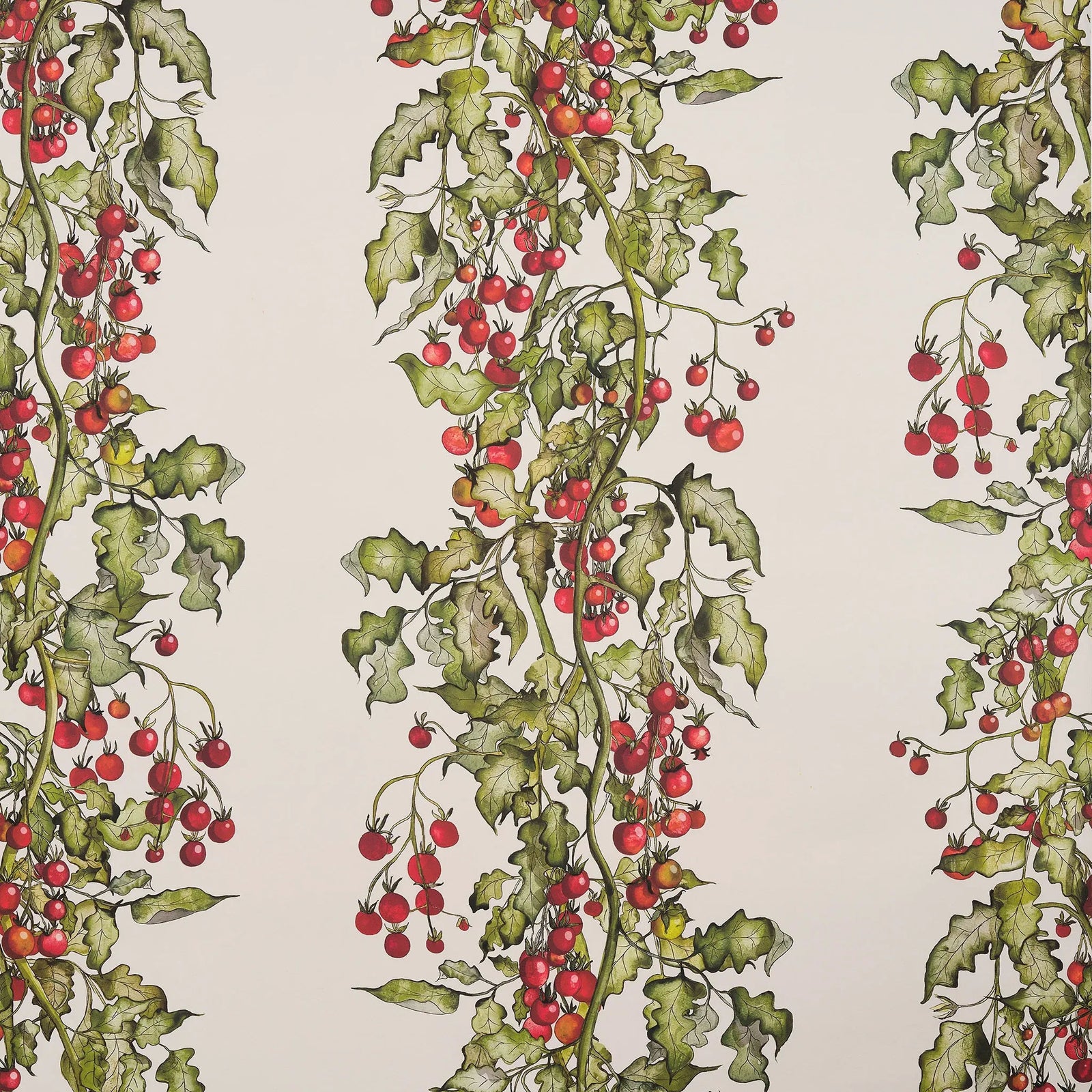 Tomato Vine Stripe Wallpaper