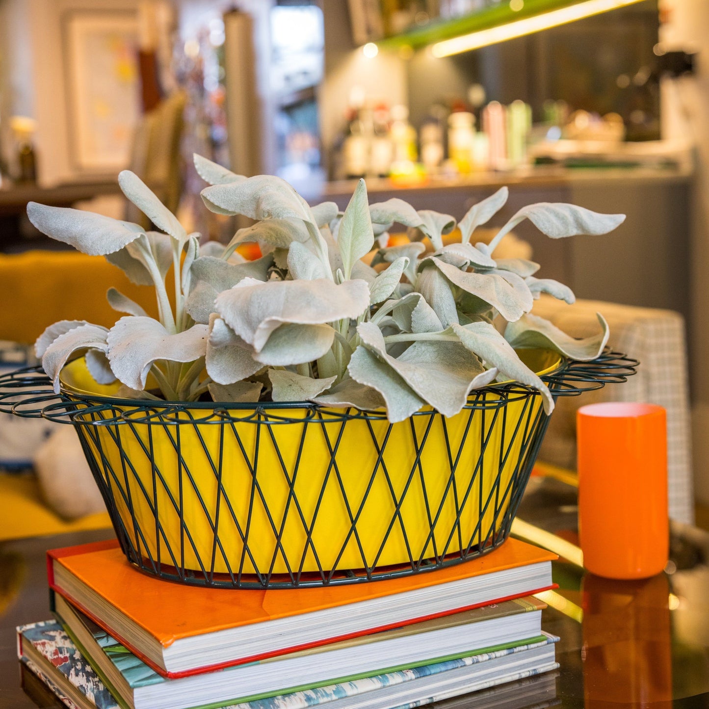 Wire Basket Planter | Sunshine Yellow & Forest Green