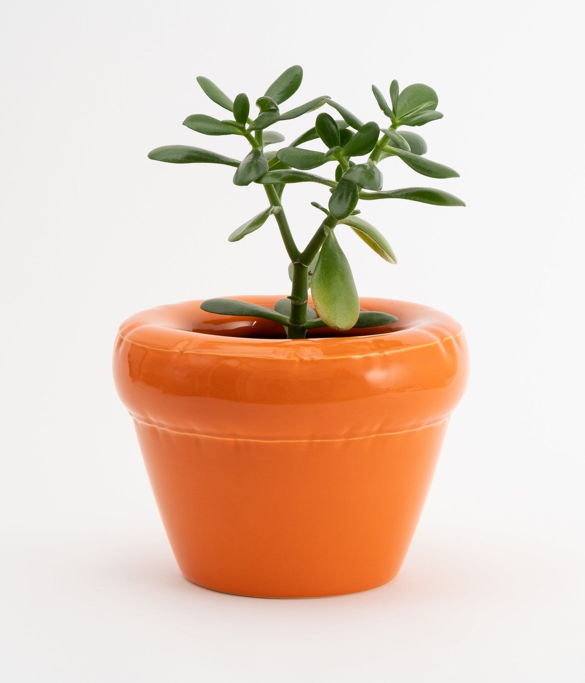 Planter 'PIERRE' Carrot Gloss
