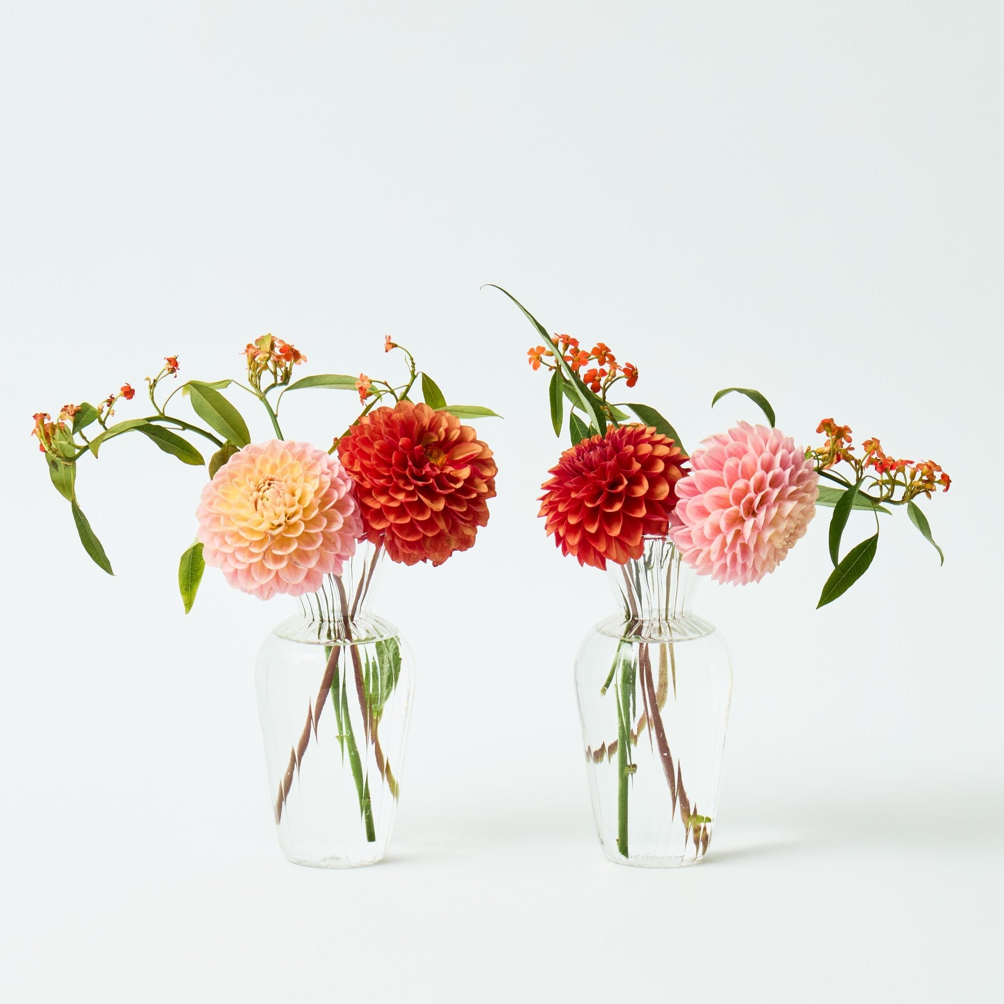 Cora Glass Bud Vase (set of Two)