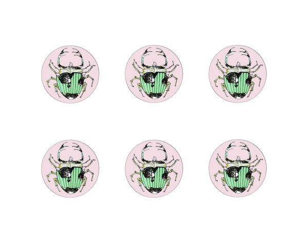 The Tiger Lily Set of 6 Coasters