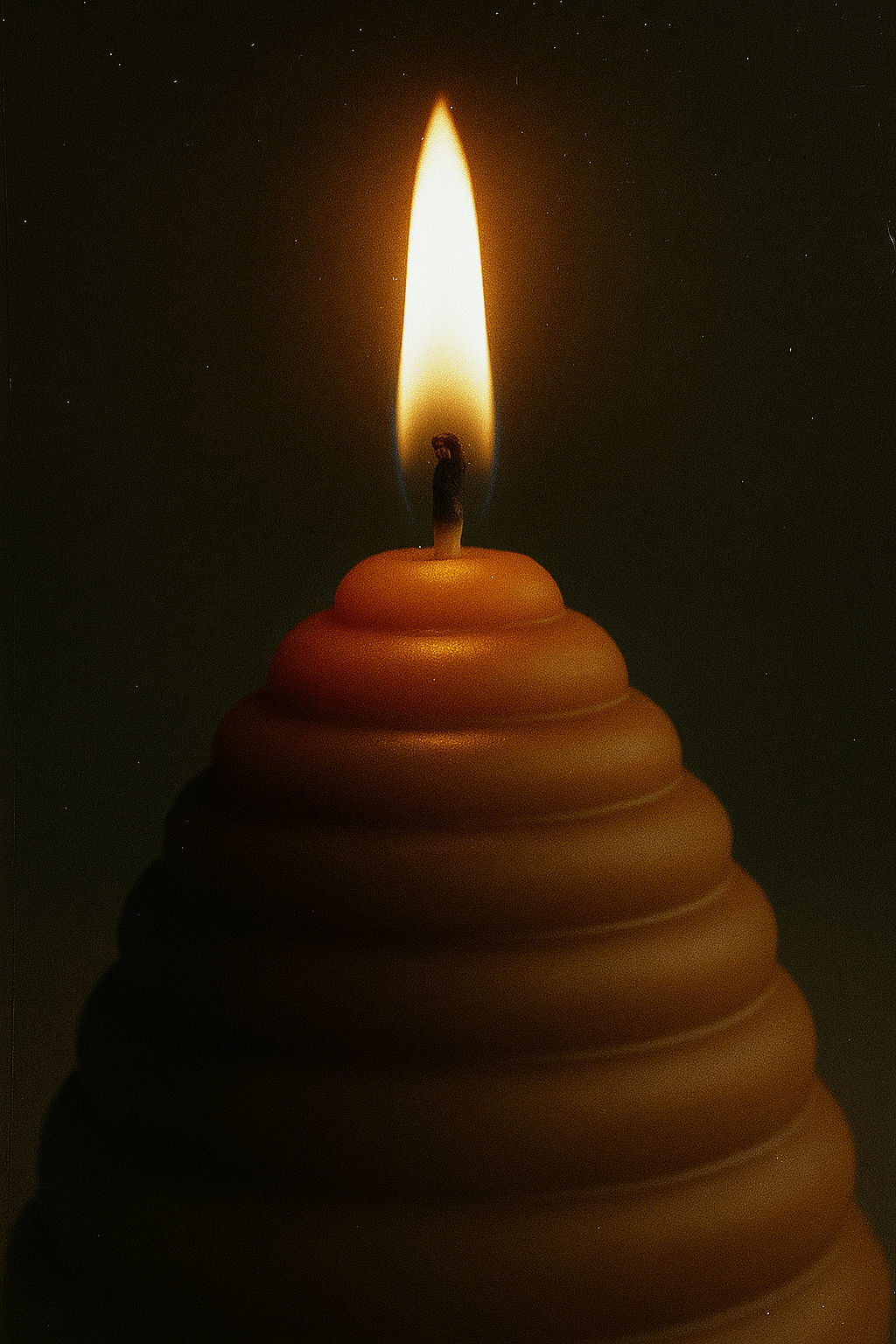 The Hive Candle