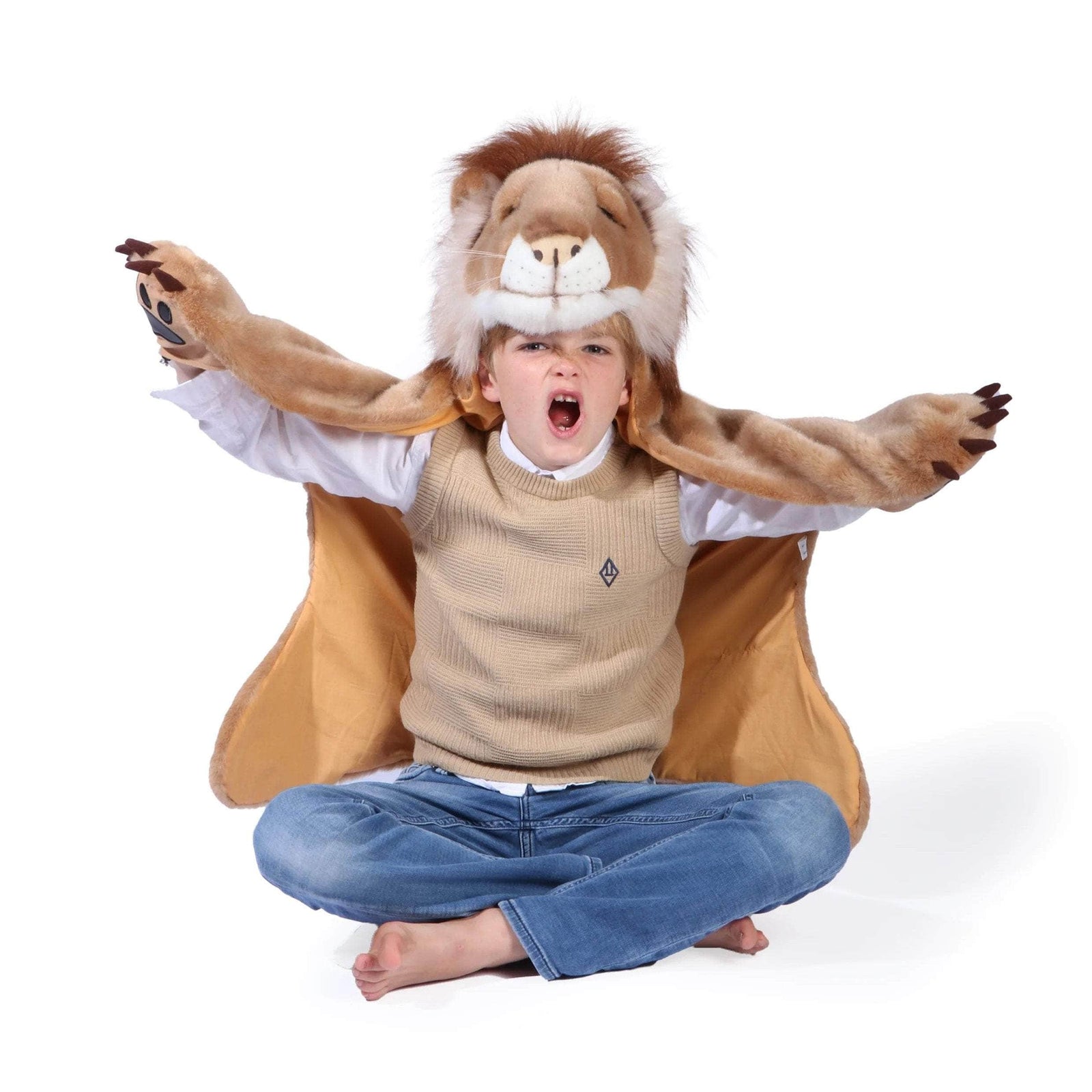 Lion Costume