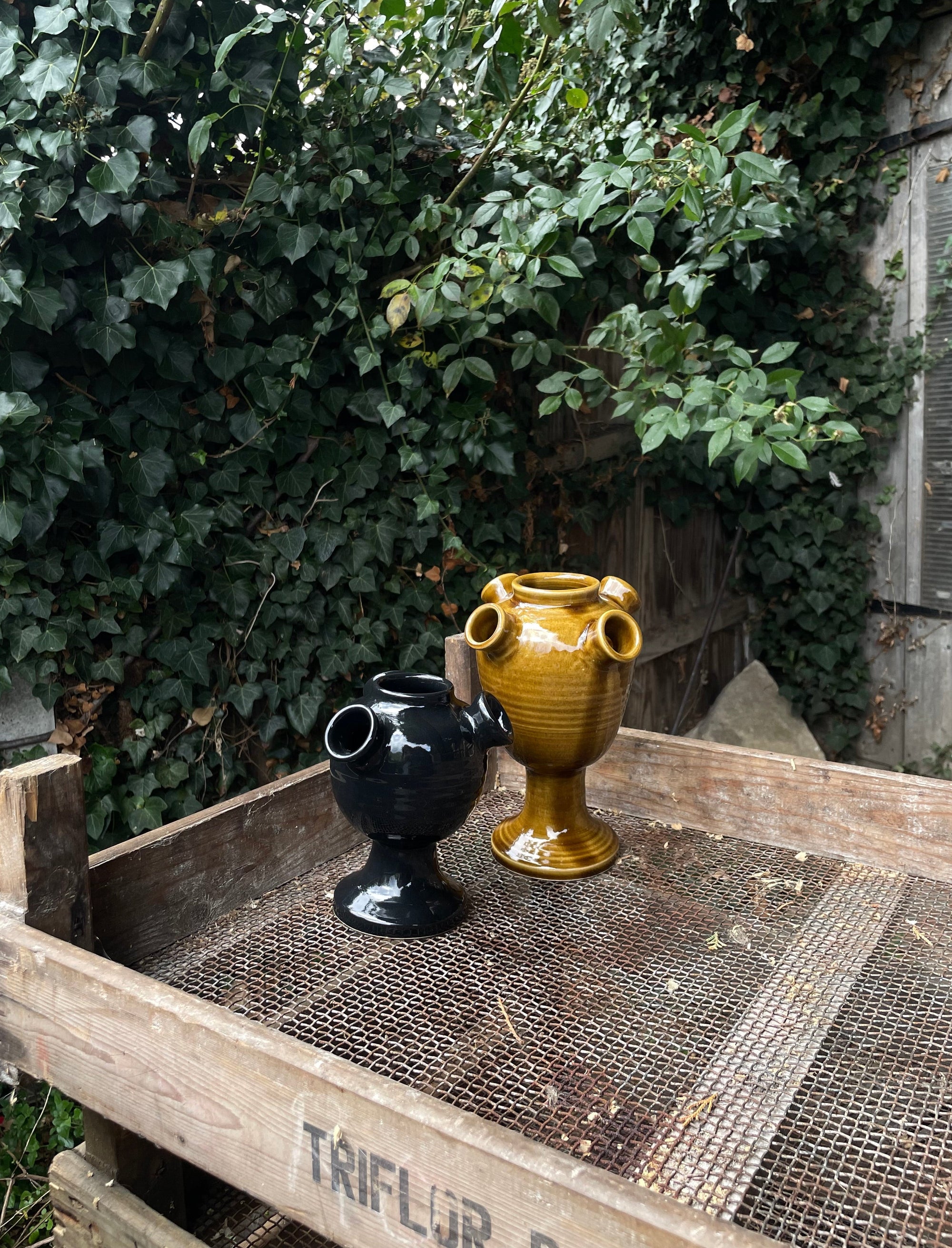 Stoneware Tulipiere - Honey Glaze